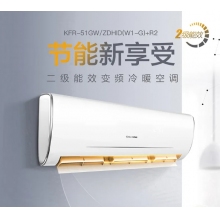 長虹·ID系列2P二級節(jié)能掛機(jī)